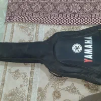 گیتارماکسین