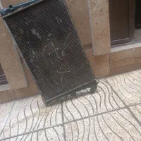 رادیات زانتیا