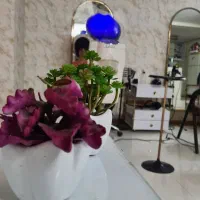اجاره لاین ، لاین مژه  با شرایط ویژه