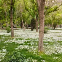 پیاده روی کوه طبیعت