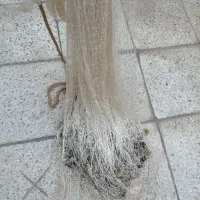 تور ماهیگیری نخی