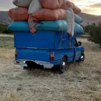 کاه گندم دیم