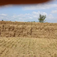 سراچین
