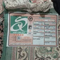 فرش ماشینی|فرش|مشهد, شهید احمدی روشن|دیوار