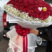 گل اکلیل دار|گل مصنوعی|تبریز, |دیوار