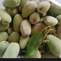 بادام تلخ