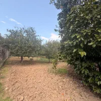 زمین مسکونی