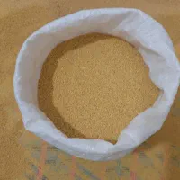 کشک زرد زابل|خوردنی و آشامیدنی|دلند, |دیوار