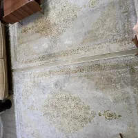 فرش ماهور ۱۲۰۰ شانه تراکم ۳۶۰۰|فرش|تهران, مسعودیه|دیوار