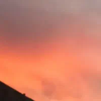 راننده نیسان برای پخش مواد غذایی