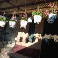 اجاره ویلا روزانه دو خوابه