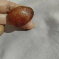 سنگهاهدیه خداوند ب طبیعت|کلکسیون اشیاء عتیقه|مود, |دیوار