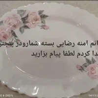 بسته پیدا شده