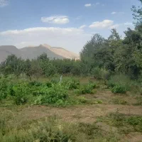 زمین باغ