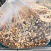 یراق دو چشم