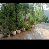 320متر باغچه چهاردیواری با انشعابات کامل