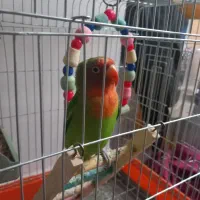 سرگرمی فراغت