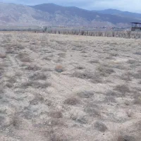 فروش ۱ هکتار و ۳۰۰۰ متر زمین کشاورزی .اقساط|فروش دفتر صنعتی، کشاورزی، تجاری|ساوه, |دیوار