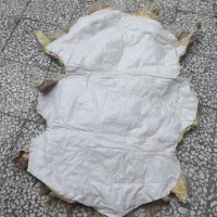 زیر انداز پوستی|روفرشی|خرمآباد, |دیوار