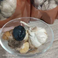 سیر|آرایشی، بهداشتی، درمانی|رفسنجان, |دیوار