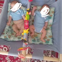 گهواره یاننی دوقلو