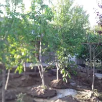 باغ-ویلا750متری-ملکی-نزدیک-بافت-آب-برق-وصل