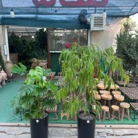 همکار در گلخانه بهارستان|استخدام خدمات فروشگاه و رستوران|کرمان, |دیوار