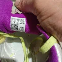 کتونی نو نو|کیف، کفش، کمربند|ری, علایین|دیوار