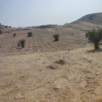 زمین کشاورزی