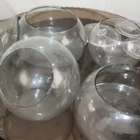 تنگ|ظروف پخت‌وپز|بوشهر, |دیوار