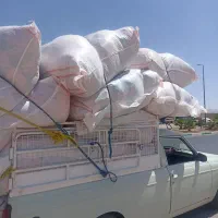 وانت بار