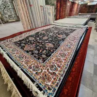 ۶ متری فرش میخک 703|فرش|مشهد, امیر|دیوار