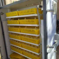 راهنمایی دباره دستگاه جوجه کشی