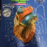 خیلی سبز تست تکه پایه