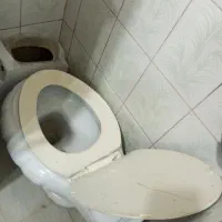 یک عدد توالت فرنگی به فروش می‌رسد