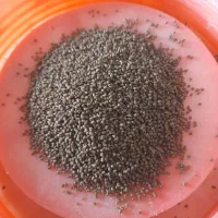 بیومار|ماهی|ورامین, ورامین|دیوار