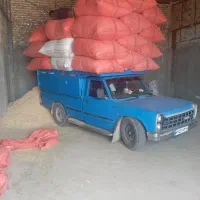 کاه گندم آلیرام ساتیرام