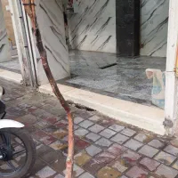 اجاره مغازه ۳۰متری مرغ ماهی گوشت پروتئین با سابقه