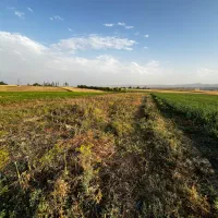 زمین برای کشاورزی احداث باغ،گلخانه،روستای کناوند|فروش دفتر صنعتی، کشاورزی، تجاری|زنجان, |دیوار