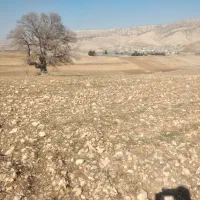 زمین کشاورزی