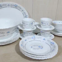 سرویس آرکوپال گل آبی
