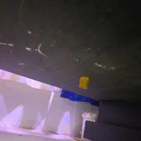 باکس گل وگیاه لاکچری|گل و گیاه طبیعی|مشهد, چهارچشمه|دیوار