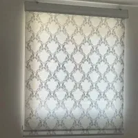 پرده زبرا دومکانیزم