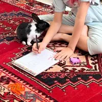 واگذاری رایگان خرگوش