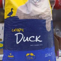 جوسی کت و جوسرا رنال/ قیمت عمده/ پتشاپ خ درستکار