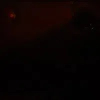 برنج طارم ونداوفجر