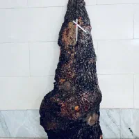 ساعت دیواری طرح تنه درخت کاج