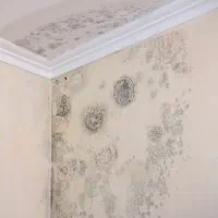 رفع نم و رطوبت و شوره،اجرای عایق نانو،نقد و اقساط|خدمات پیشه و مهارت|رشت, سعدی (تختی)|دیوار