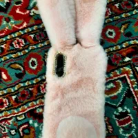 قاب گوشی