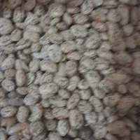 لوبیا ارتشی|خوردنی و آشامیدنی|اهواز, شهدای انتظامی|دیوار